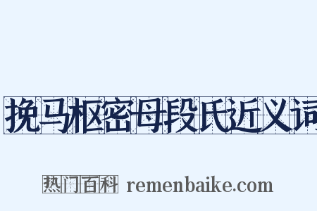 挽马枢密母段氏近义词是什么意思的图片